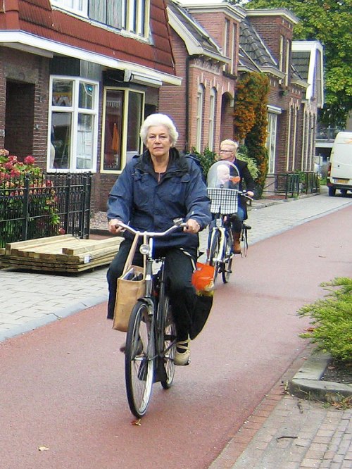 A middle-aged woman rides a bike on a cycle-path in the Netherlands. She has a shopping bag on her handlebars and flowers in the panniers on the rear of the bike.